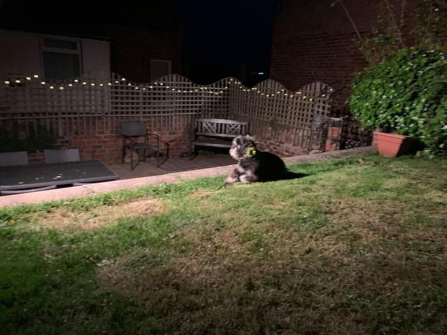 Award Winning Pet Friendly Paddock Cottage ويتبي المظهر الخارجي الصورة