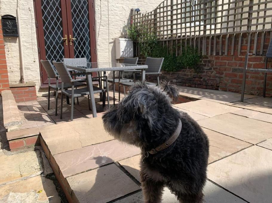 Award Winning Pet Friendly Paddock Cottage ويتبي المظهر الخارجي الصورة