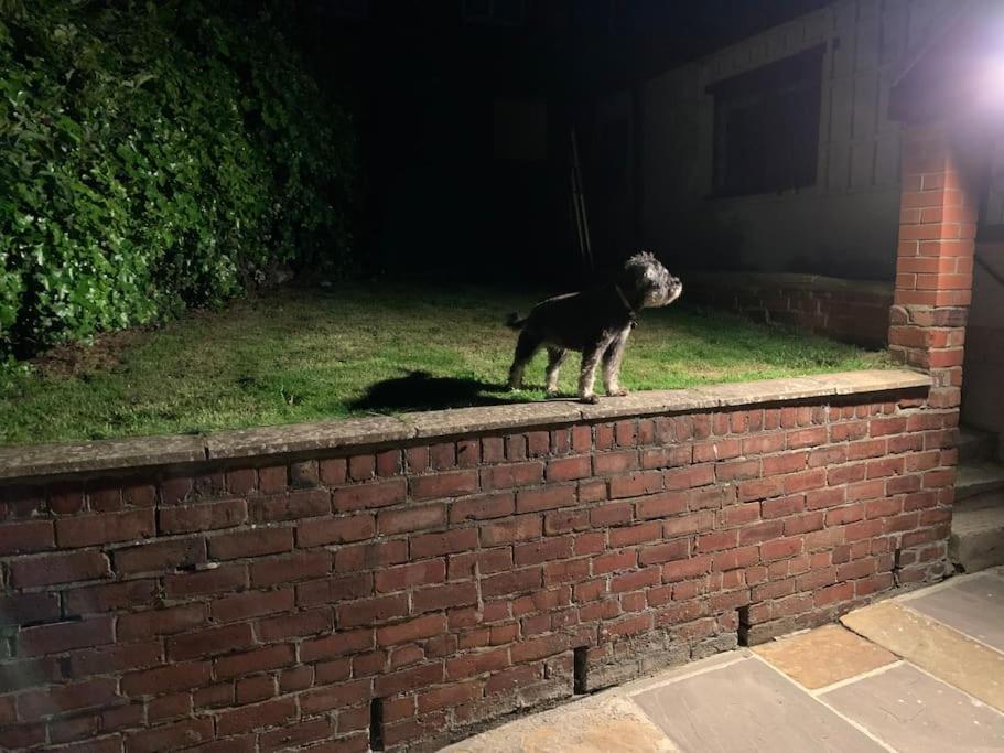 Award Winning Pet Friendly Paddock Cottage ويتبي المظهر الخارجي الصورة